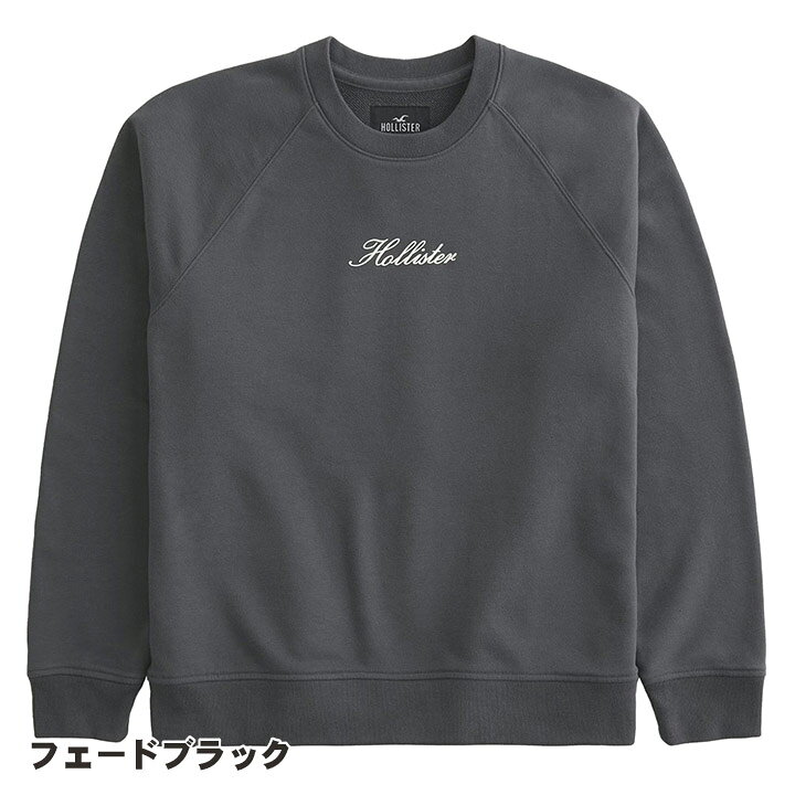 楽天市場】ホリスター メンズ フロッキープリントロゴグラフィック 