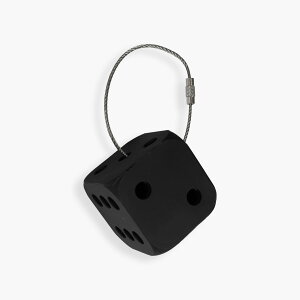 FAKE AS FLOWERS / FAF | DICE KEY RING (BLACK) �T�C�R�� �_�C�X �L�[�z���_�[ �L�[�����O �`���[�� �A�N�Z�T���[ �u���b�N