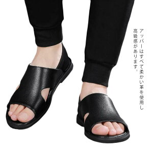 RtH[gV[Y Y X|[cV[Y amC  vT_ C Xb| JWA  am ʋC AEghA ̓ Mtg