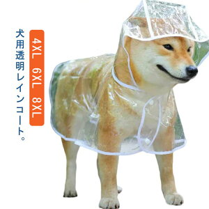ybg CR[g ^ Jbp ^  EȒP Č ybgpJbp p ^ hbOEFA J CEFA t[ht Xqt  C|` ~J J΍ 
