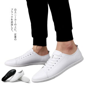 Xj[J[ vC Y t H [Jbg  V[Y zCg ubN Sn ɂ ʊwC y y d C