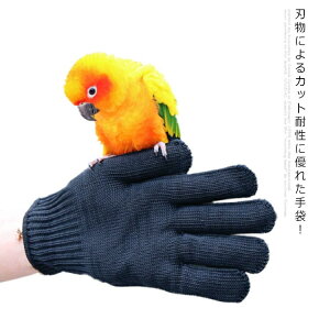 hn ؂Ȃ Ɨp t[TCY jp EZbg R ϋv  DIY AEghA _ S~ ЊQ iCt O[u ubN 