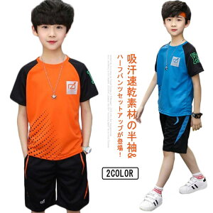 ZbgAbv j̎q q W[W z LbY    ǂ WjA ؍q ㉺Zbg Y{ gbvX JWA pc  TVc Vbgpc ][g 