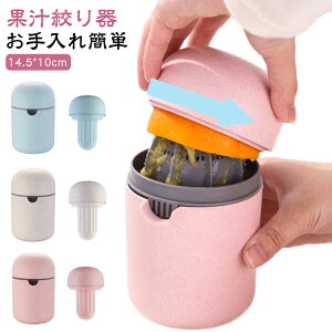 ڂ ڂ ʏ`i t[ci 蓮W[T[ Mtg  i nhW[T[ t[cڂ lԍHw ʏ` i 킢 蕨 