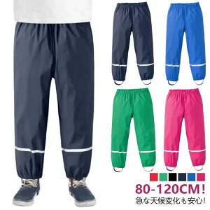 EGXgS qǂp CEFA ꒅ vCEFA Ђt {gX xr[ Y{ S hpc ̎q Cpc  {gX ꒅ LbY q J̓ ʊw