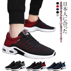 Y Xj[J[ gbLOV[Y oRC y ₷ ~ C V[Y EH[LOV[Y U jO g[jO oR AEghA Lv h ʋ ʊw 