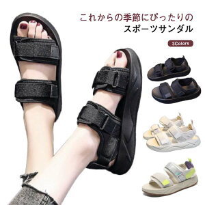 X|[cT_ fB[X  Ȃ K RtH[g ؂T_ EȂ ₷ y  X|T ʋC ɂȂ Xj[J[T_ T_ Xgbv 