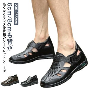 V[NbgV[Y T_ JWA Y bV  T_ 8cmAbv 6cmAbv ʋC Ȃ am C v Ȃ b 蕝L ₷ ~ ʋ ItBX 