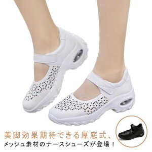 i[XV[Y ɂ É fB[X i[XT_  r _XV[Y }}V[Y }WbNe[v Xj[J[ y i[XObY C d EI[LOV[Y 