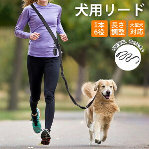 bingopaw p [h | |[h xgt V_[[h nYt[ 1{6 @\[h LkRL ^ ^ g[jO[h pV[gxg   U 