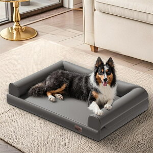 BingoPaw ^p\t@xbh \t@^pxbh }CNt@Co[U[Jo[t ybgpƋX^C ^^p\t@xbh