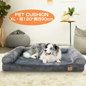 bingopaw pxbh NbV 􂦂 ybg\t@[xbh ӂӂ Q h ~ V  h~ ʔNgp ~/ Hc ^ ^ ^ ^̑ O[ h