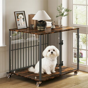 bingopaw hbOP[W Q[W pQ[W T[N ybgP[W KX ؖڒ  CeAƋ p ^ ^ ybgnEX  _fUC ʋCQ S