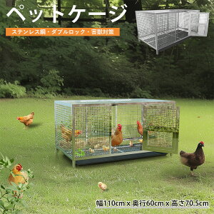 BingoPaw ybg P[W {  XeX O  { bg e Jo[t 傫 {  ^  tFbgP[W nlY~ 珬 ybgP[W