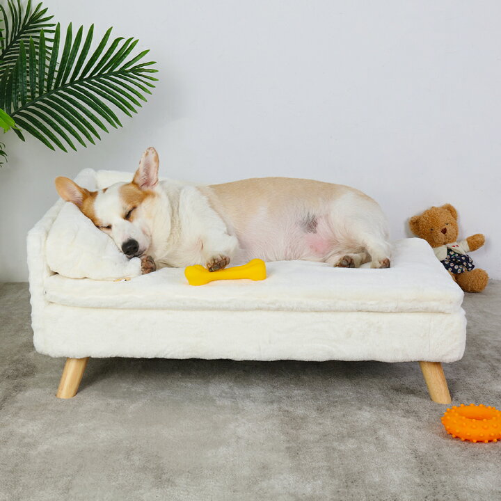 楽天市場】小型犬ソファーベッド 中型犬 猫椅子ベッド おしゃれ 大きい 
