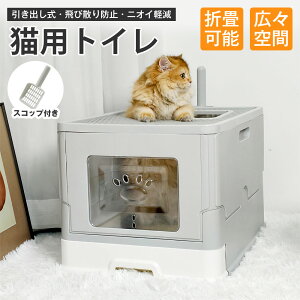 BingoPaw ^LgC{ ォ tJo[ LbggC Wt o юUȂ t 傫TCY  t[ht Ch R[i[ ܂肽 t L