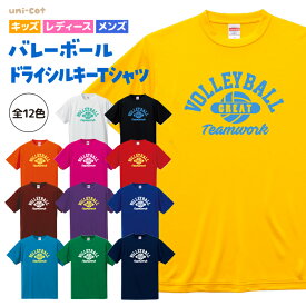 バレーボール Tシャツ ドライシルキー ウェア 練習着 チーム クラブ 部活 キッズ レディース メンズ 男女兼用 ユニセックス 半袖 全12色 V21 5088 送料無料 ピンク ブラック ネイビー ホワイト ブルー グリーン レッド イエロー オレンジ シューズ お揃い