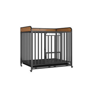 ybgP[W t JS hbON[g ^ ^gC mCYh~ 4 Kтɂ bL _Ȏlp`[u 㕔ɃACezuł܂