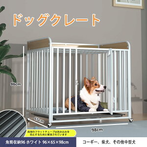 ybgP[W t JS hbON[g ^ ^gC mCYh~ 4 Kтɂ bL _Ȏlp`[u 㕔ɃACezuł܂