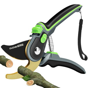 oT~ |p  SK85Yf| yʃA~ }Ή hKH SbNt |nT~ ʎ  ~ ϗtA K[fjOp ͂ ~߃Obv |HO