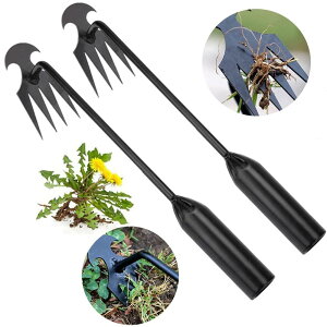 蓮GuV 蓹  G   ܂ܑ |pi   XeX|