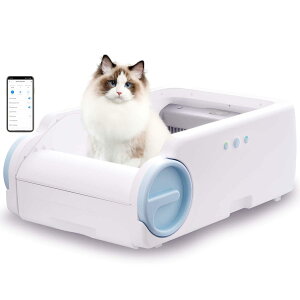 L gCCݍݖh~LCAvuCJfUCŃXgXȂELɊ