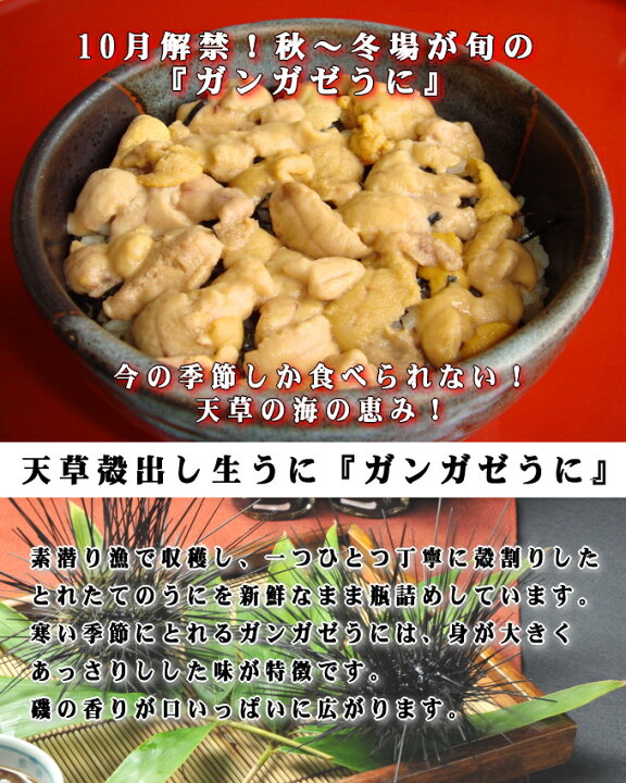 楽天市場 季節限定 天草殻出し生うに ガンガゼうに 50ｇ 無塩 無添加 うに 瓶詰め ギフト プチギフト のし対応 贈り物 贈答 お歳暮 天草生うに本舗丸健水産