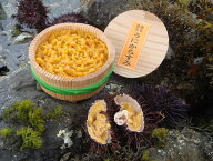 うにからすみ 50g 海食逸品 うに ギフト　プチギフト　のし対応　天草産　お中元　お歳暮　父の日　敬老…