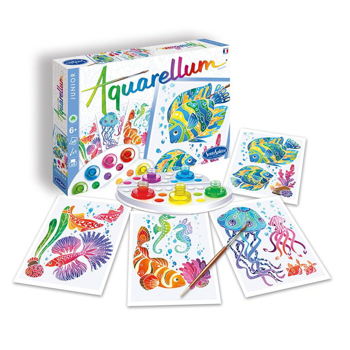 楽天市場 Aquarellum Junior アクアレルム 水彩 ぬりえ 絵の具 セット 子ども 大人 フランス製 塗り絵 イラスト 海のいきもの おもちゃ 女の子 男の子 プレゼント 5歳 6歳 7歳 小学生 知育玩具 子供 誕生日プレゼント 人気 ギフト お祝い ユニバーサルステージ