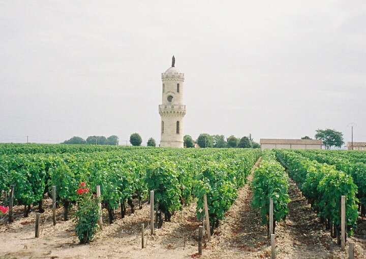 楽天市場】シャトー・ラトゥール[2006] 赤 750ml Chateau Latour 