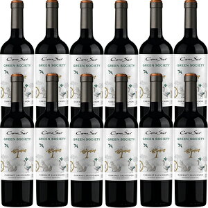 yz12{/1Zbg RmX@O[\TGeB@JxlE\[Bj[2021]B[jERmX  750ml Vina Cono Sur[Cono Sur Green Society Cabernet Sauvignon] ` ԃC  H