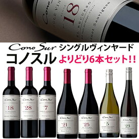 コノスル シングル・ヴィンヤード シリーズ よりどり12本セット ヴィーニャ・コノスル 赤 750ml　Vina Cono Sur[Cono Sur Single Vineyard]チリ 赤ワイン 白ワイン ワインセット 送料無料【ワイン福袋セット】