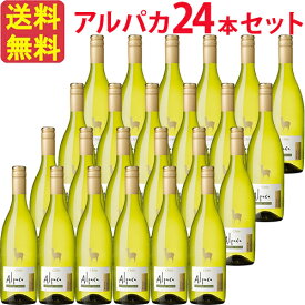 【お得な24本セット】サンタ・ヘレナ・アルパカ・シャルドネ・セミヨン SANTA HELENA ALPACA CHARDONNAY SEMILLON 白 750ml チリ 白ワイン セントラル・ヴァレー 2ケース 業務用 飲食店 プロ向け 送料無料※北海道・九州は別途送料330円×2箱が加算されます