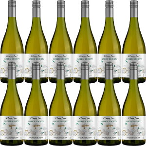 yz12{/1Zbg RmX@O[\TGeB@\[BjEu[2022]B[jERmX  750ml Vina Cono Sur[Cono Sur Green Society Sauvignon Blanc] ` C  v