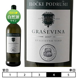 グラシェヴィーナ・クラシック・1リットル[2021]クロアチア 白 1000ml Ilocki Podrumi[Grasevina Classic 1L]イロチュキ・ポドゥルミ 白ワイン