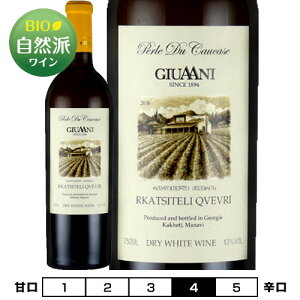 ���J�c�B�e�� �N���F����[2024]�M�E�A�[�j �� 750ml�@Giuaani [Rkatsiteli Qvevri]�W���[�W�A �O���W�A �����C��