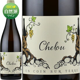 シュルー[2021]アン・コワン・シュル・テール 白 750ml Un Coin sur Terre [Chelou]フランス 白ワイン ラングドック ルーション ラングドック・ルーション ビオディナミ ヴァン・ナチュール ビオロジック