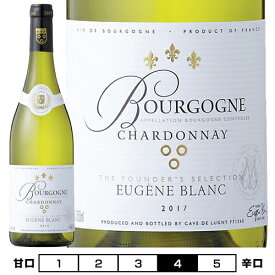 ブルゴーニュ シャルドネ[2022]カーヴ・ド・リュニー 白 750ml Cave de Lugny[Bourgogne Chardonnay] フランス ブルゴーニュ 白ワイン