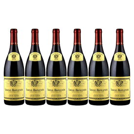 6本セット【送料無料】ルイ・ジャド[2019年]ヴォーヌ・ロマネ 赤ワイン 750ml×6本 1箱 Louis Jadot[Vosne Romanee] フランス ブルゴーニュ 赤ワイン 業務用 飲食店 プロ向け※別途追加送料エリアあり