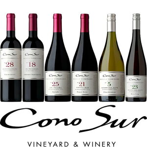 RmX VOEB[h V[Y S6ވݔ6{Zbg B[jERmX / 750ml@Vina Cono Sur[Cono Sur Single Vineyard]` ԃC C CZbg  