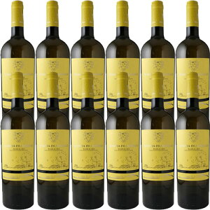 yzNG`AEfBEAjo[ErAREoWJ[^EIGT 12{Zbg[2024]ek[eE_EA  750ml@Tenute Dauria[Quercia di Annibale Bianco Basilicata IGT] C^A oWJ[^ 