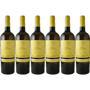 yzNG`AEfBEAjo[ErAREoWJ[^EIGT 6{Zbg[2024]ek[eE_EA  750ml@Tenute Dauria[Quercia di Annibale Bianco Basilicata IGT] C^A oWJ[^ 