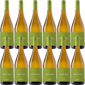 【送料無料】12本セット/1箱 ムーチョ　マス　白[N/V]フェリックス・ソリス・アヴァンティス 白 750ml Mucho Mas Blanco[Felix Solis avantis] スペイン バルデペーニャス 白ワイン※クール便・北海道・九州・沖縄そのほか離島は追加送料が発生いたします※