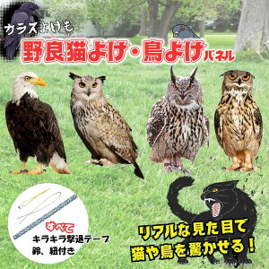 �t�N���E ���悯 ���悯 �J���X�悯 �O�b�Y �t�N���E�^ ���� ���΍� �J���X�΍� �c�o���悯 ���쏜 �u�� ���A�� ���� �x�����_ �� �� �Q���΍� �l�C �������� ������ ������ �J���X���� ����