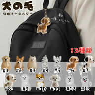 犬の毛 収納 キーホルダー 遺毛 メモリアルグッズ 犬 ペット ペットロス ギフト プレゼント 誕生日 母の…