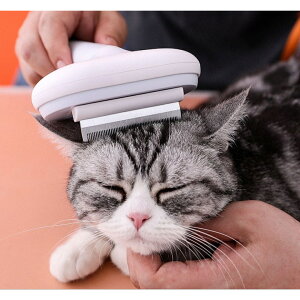 猫ブラシ ペットブラシ犬用 5in1 ワンプッシュ式 ブラシ 猫 犬 抜け毛取り ブラシ マッサージ スリッカーブラシ ブラッシングブラシ 毛玉取りブラシ 犬猫通用 短毛 長毛 種向け ブラシセット