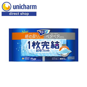 jE`[ EF[u1tApNуEFbgV[g 12 yVbvz