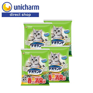 jE`[ fITh IVbR̂ƂɍŏL鍻 i`O[̍ 5L×4yVbvzlRgC gC^[ xgiCg gCp i`O[