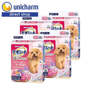 jE`[ yP[XzfIV[gL&tOXt[V{̍背M[ 120×4܁yVbvz