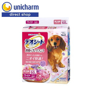 jE`[ fIV[gL&tOXt[V{̍胏Ch 60yVbvz